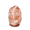 Himalayan Salt Lamp 110-250 LBS - Default Title