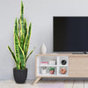 35.5 Inch Indoor-Outdoor Decoration Fake Artificial Snake Plant - Green