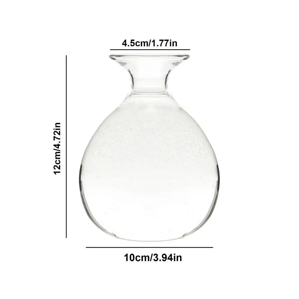Clear Glass Hydroponic Vase