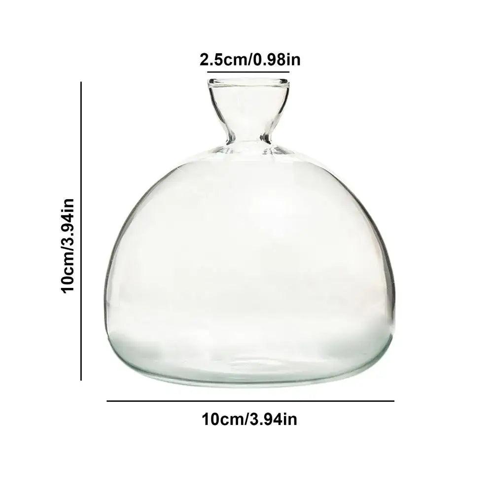 Clear Glass Hydroponic Vase