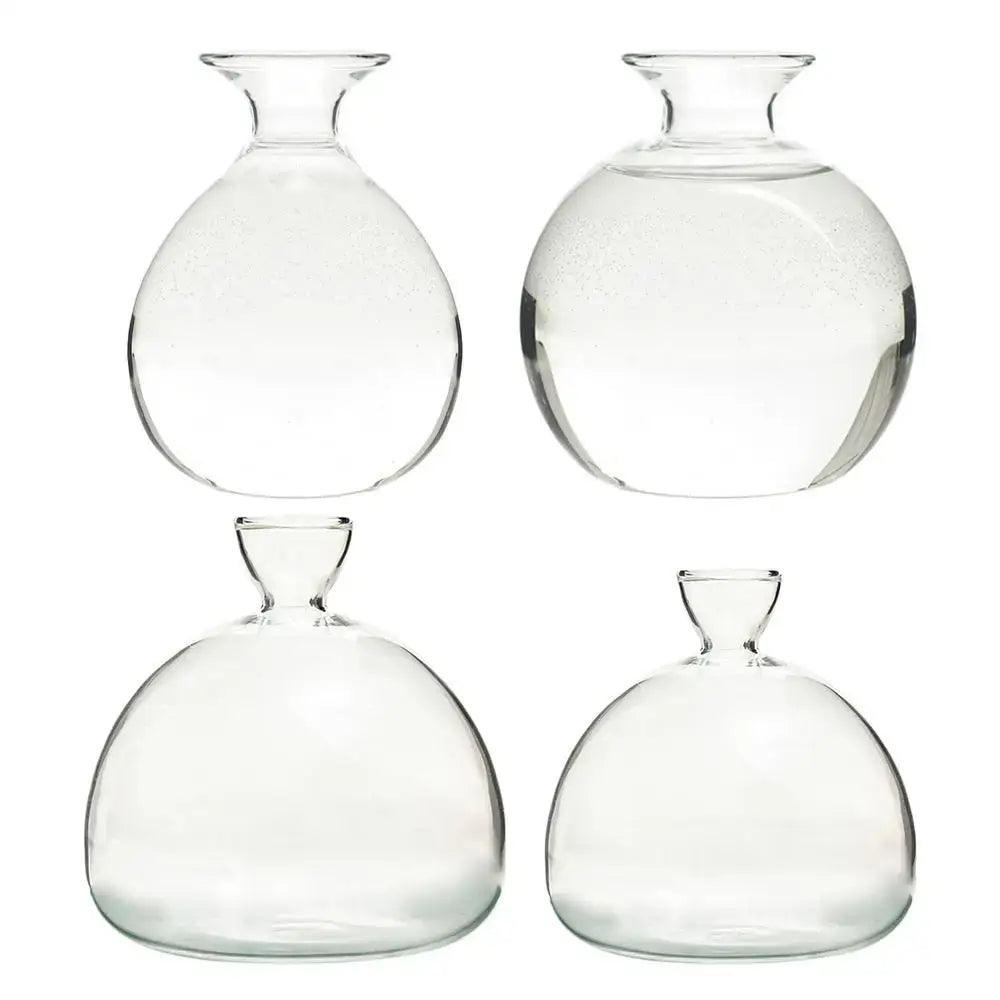Clear Glass Hydroponic Vase