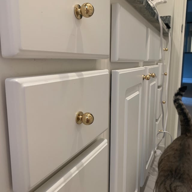 Polished Brass 