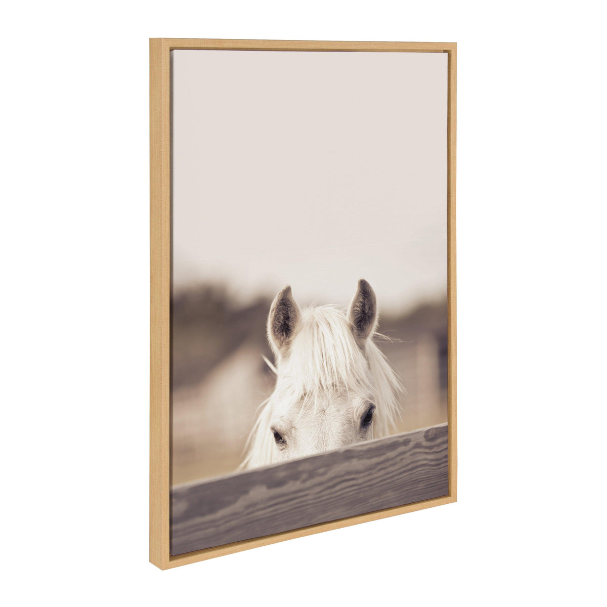 Sylvie Equine Framed Canvas by Robert Cadloff of Bomobob