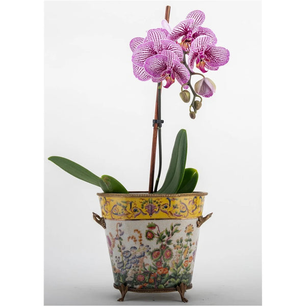 Wild Breeze Porcelain with Bronze Ormolu Planter