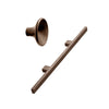 Walnut Wood 