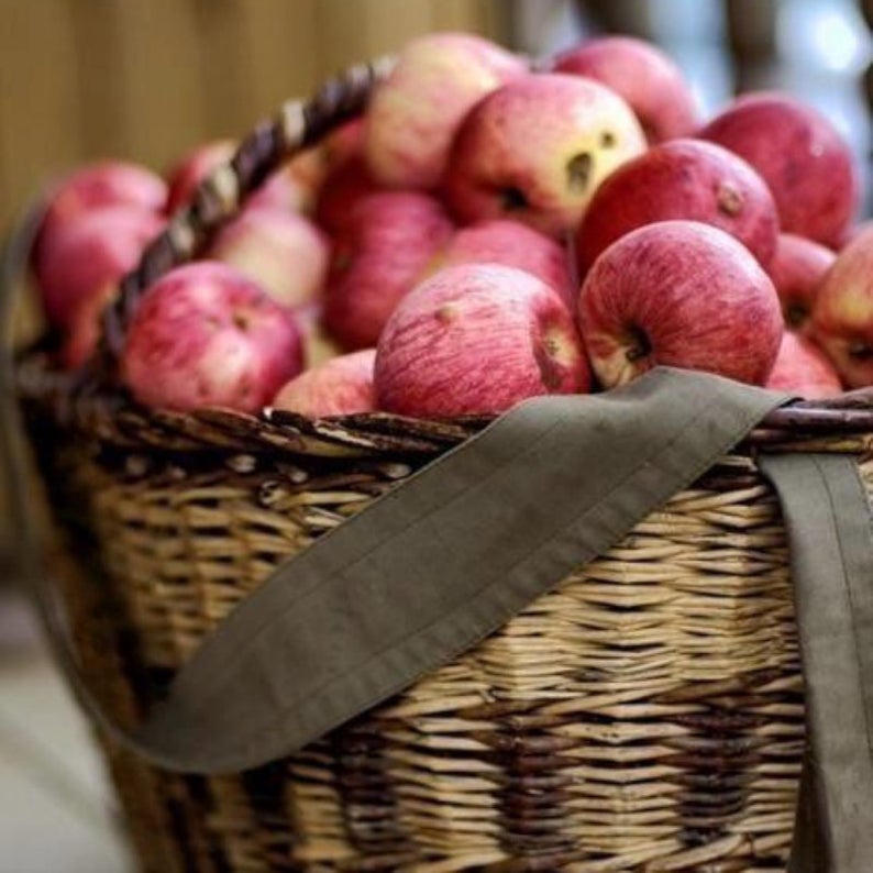 Farmstand Apple