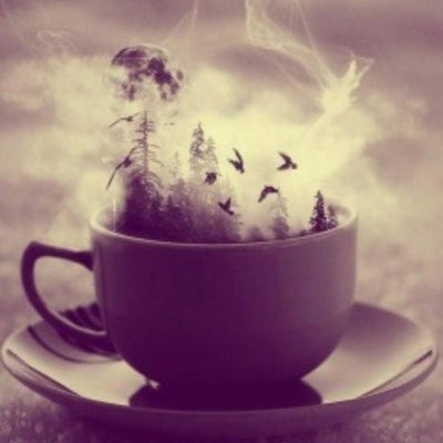 Witches Tea Party