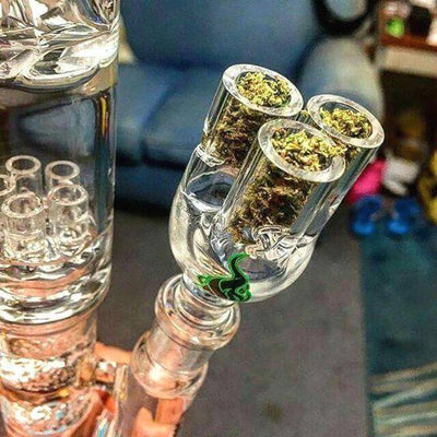 Cannabis