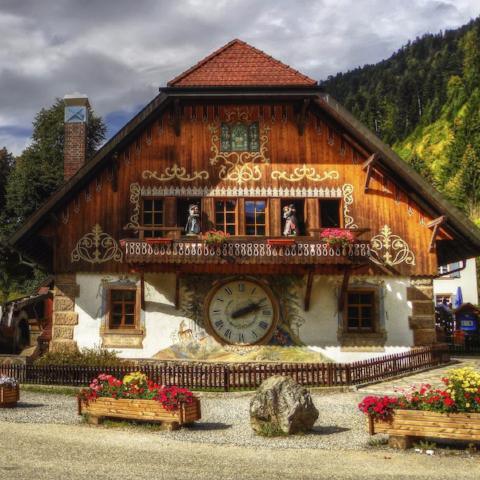 Black Forest