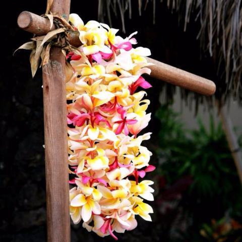 Aloha Tiare