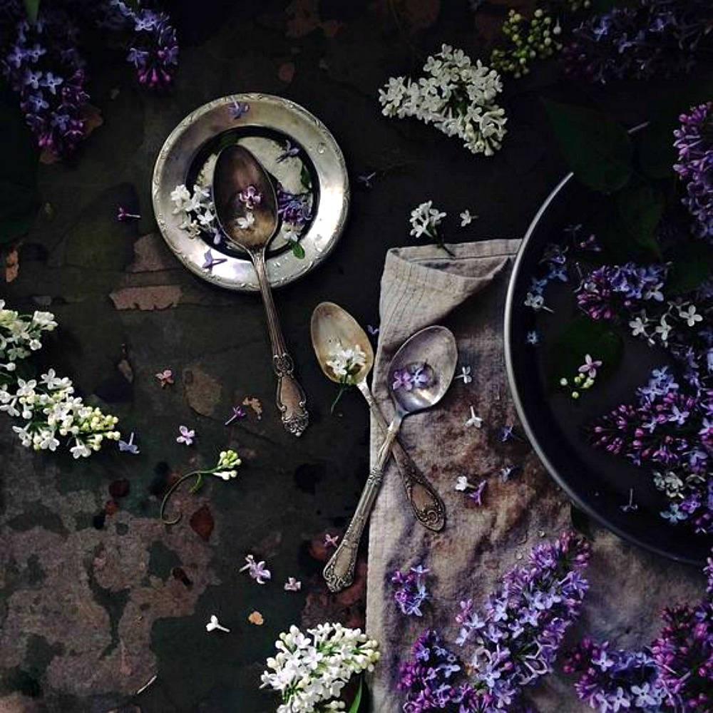 Lavender Noir
