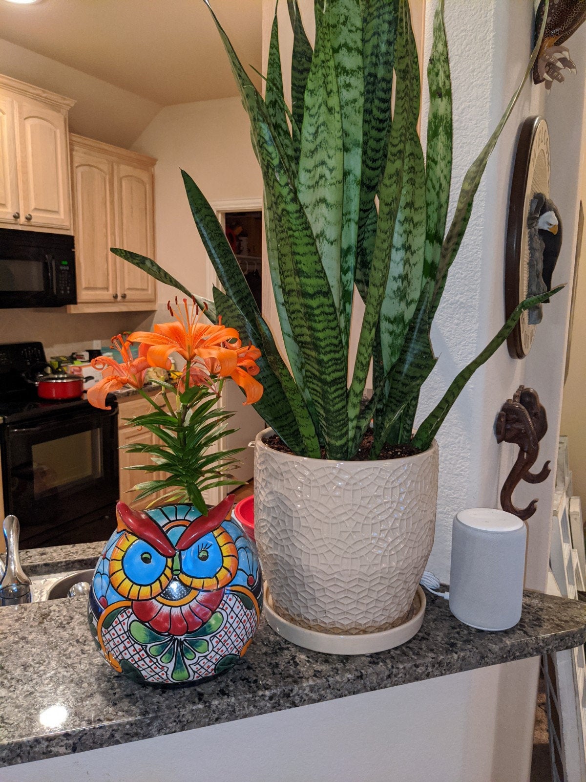 Owl Flower Pot, Ceramic Planter, Handmade Talavera Pottery, Garden Decor, Outdoor Decorations, Indoor Home Decor, Cute Owl Gifts
