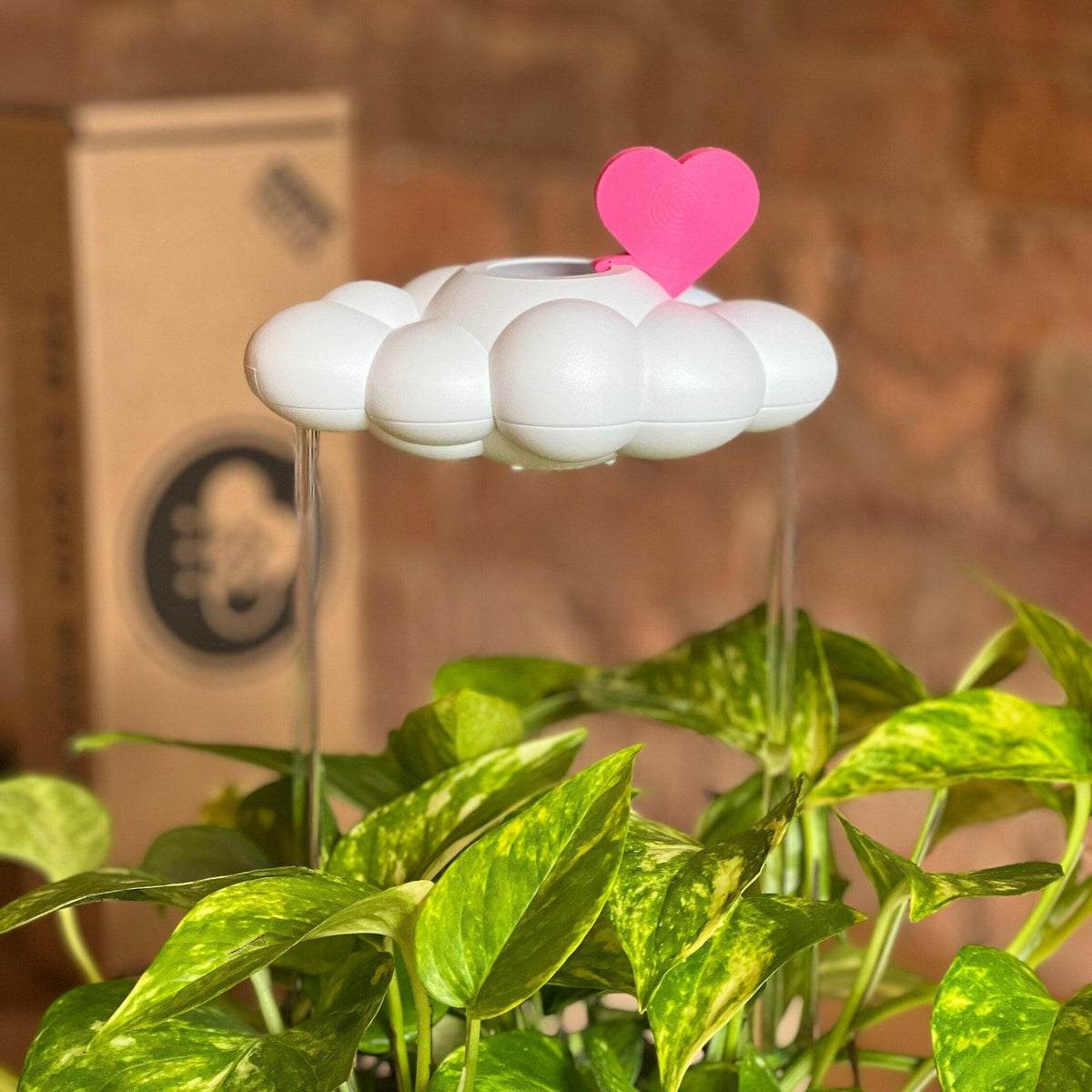 Original Dripping Rain Cloud with Pink Heart Charm
