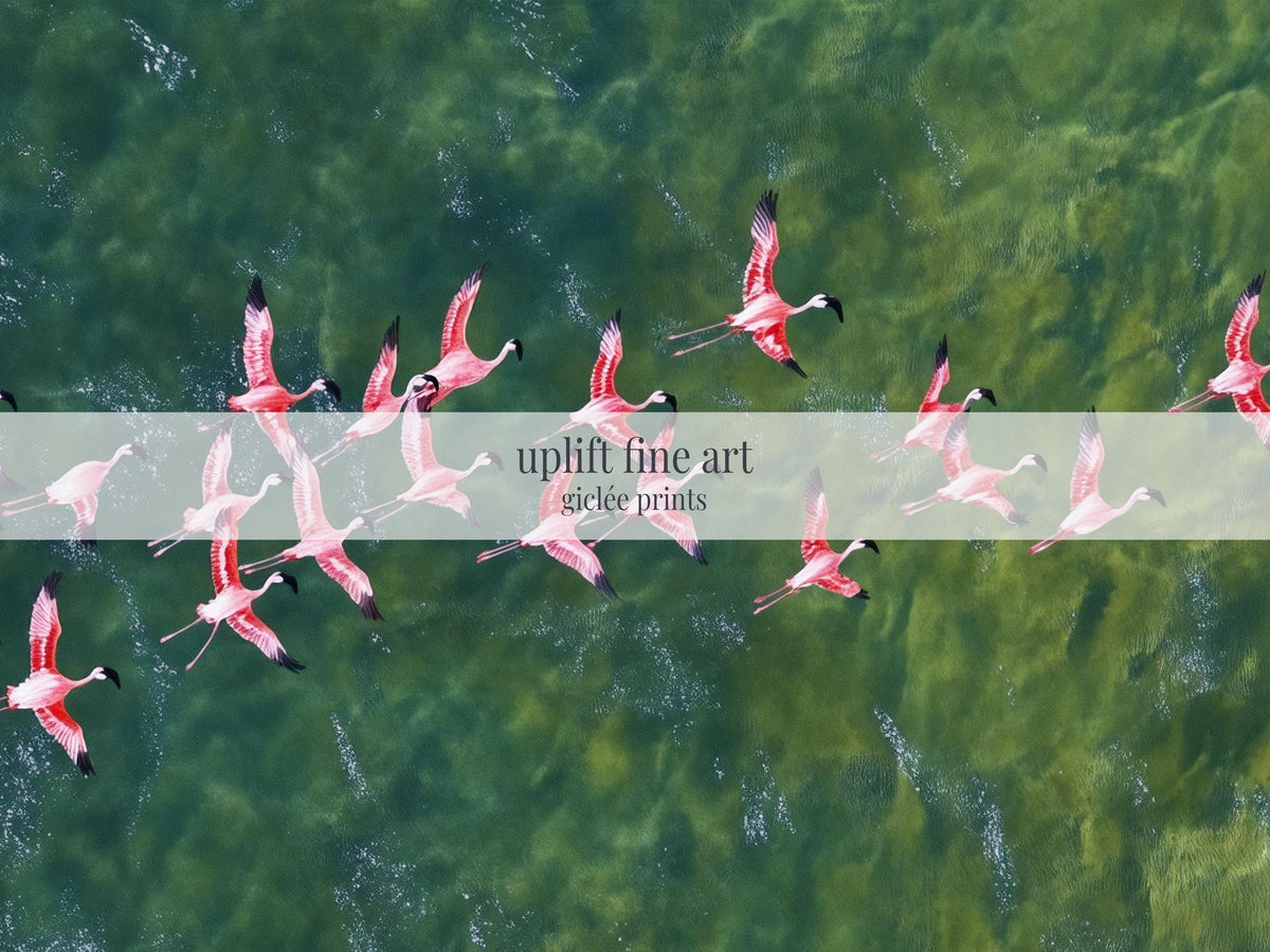 Flamingos Flying Over Emerald Ocean Art Print Canvas Art