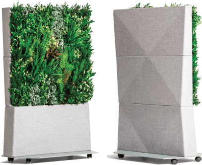 Foliascreen Standard Size 51.38