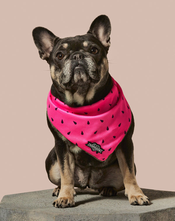 What-A-Melon Cooling Bandana