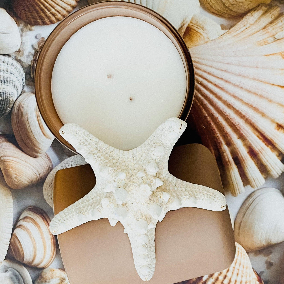 Beach Day Candle Scent of Coconut Sandalwood Musk Vanilla