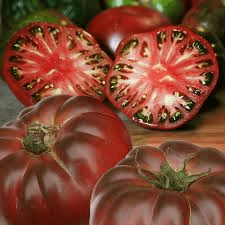 Cherokee Purple Tomato Seeds | Heirloom, Non-GMO | Dusky Pink-Purple | 80 Days | USDA Zones 3-10 |
