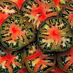 Black Sea Man Tomato Seeds | Heirloom, Non-GMO | 8-12 oz Fruit | 75 Days | USDA Zones 3-10 |