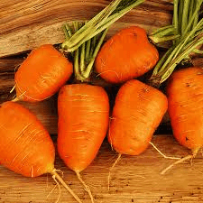 Oxheart Carrot Seeds | Heirloom Non-GMO | Sweet & Crisp | 5-6 Inch Roots | USDA Zones 2-10 |