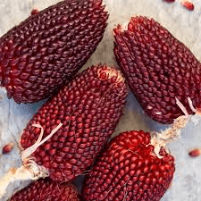 Strawberry Popcorn Corn Seeds | Heirloom, Non-GMO | 2-3