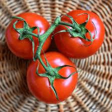 Floradade Tomato Seeds | Heirloom | Heat-Tolerant | Non-GMO |  | Perfect for Warm Climates