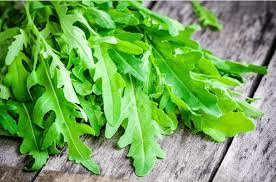 Roquette Arugula Seeds - Heirloom, Non-GMO - 40 Days to Maturity - Nutty & Peppery Flavor - USDA Zones 3-9 - Perfect for Salads & Stir-Fries