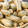 Delicata Squash Seeds | Non-GMO | Sweet Potato Flavor | 1-3 lb Fruit | 100 Days to Harvest | USDA Zones 3-10 | - 20 Seeds