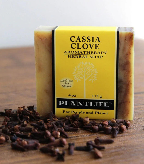 Cassia Clove Bar Soap - Gifts for You 'n Me