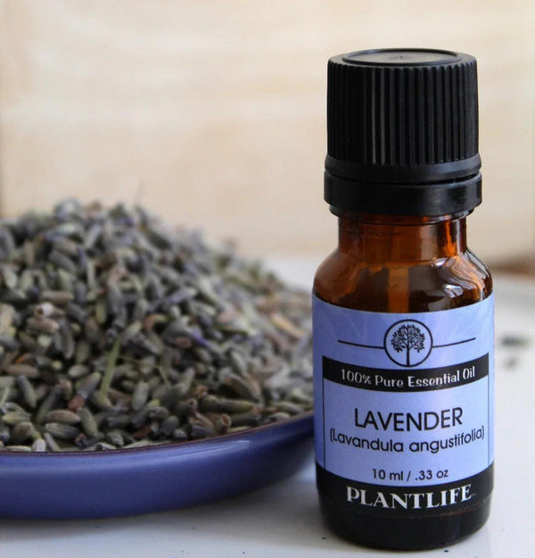 Lavender Bulgarian Essential Oil - Gifts for You 'n Me