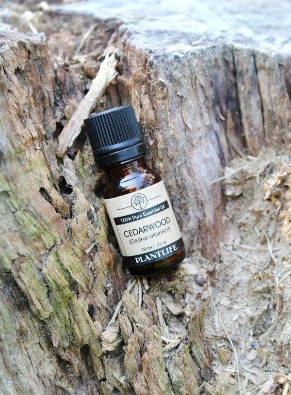 Cedarwood Essential Oil - Gifts for You 'n Me