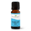 Invigor Aid Essential Oil Blend