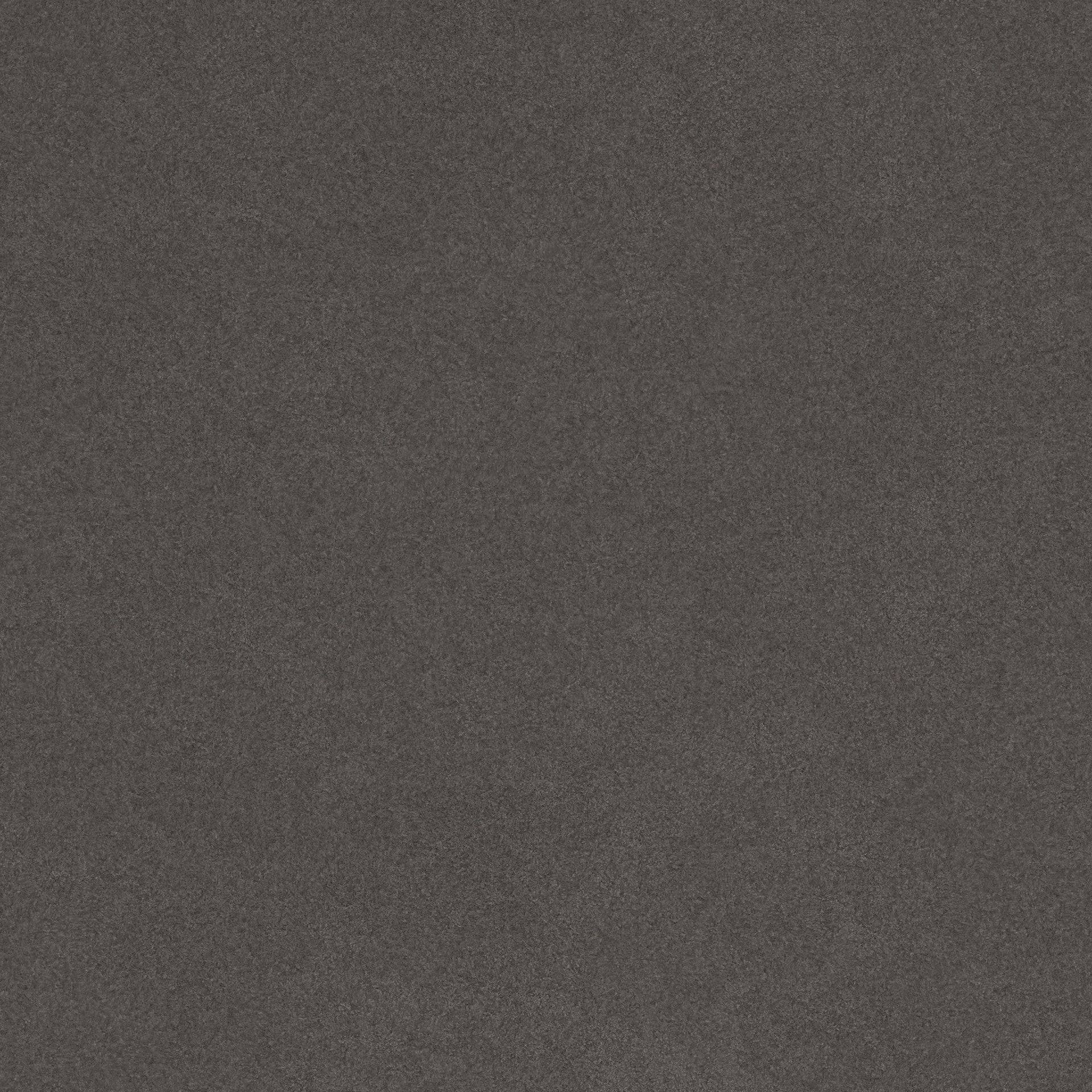 Coral Reef Loveseat Gray ZUO Store