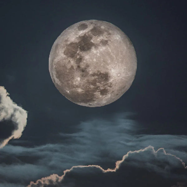 Midnight Soleil Black Marquina Candle 17oz - Gifts for You 'n Me