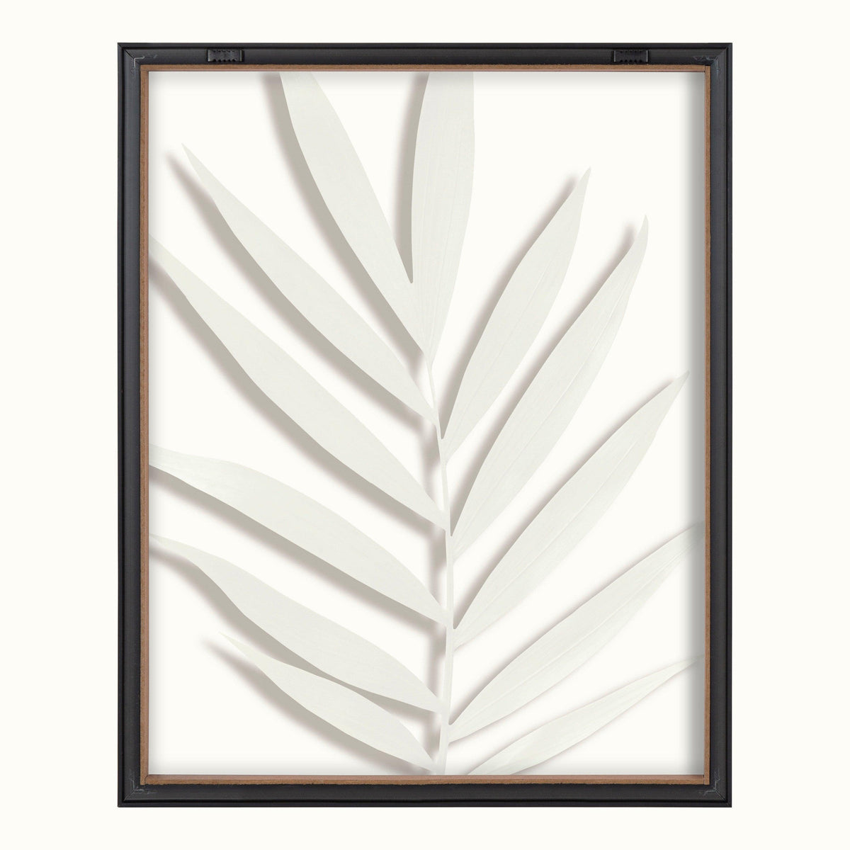 Blake Botanical 5F Framed Printed Glass by Amy Peterson
