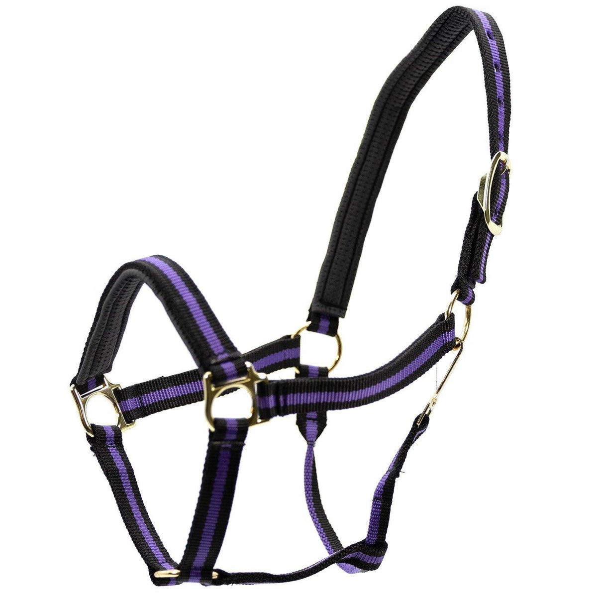 Jeffers Padded Nylon Horse Halter with Throat Snap