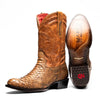 Kansas Cognac - Cognac / 7 USA