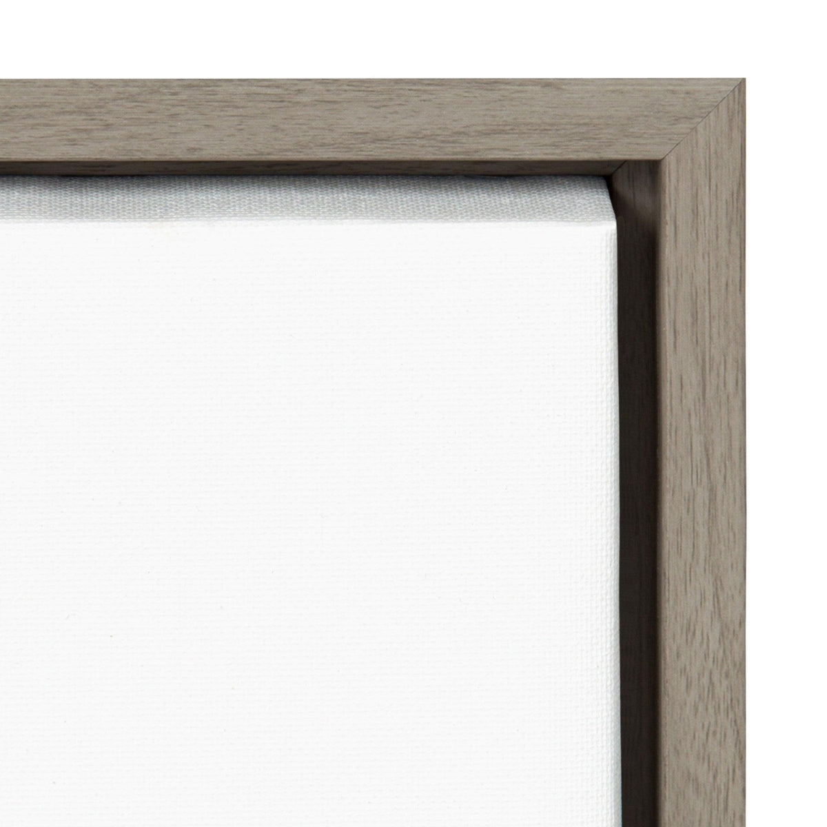 Sylvie Little Bloom Framed Canvas by Myriam Van Neste