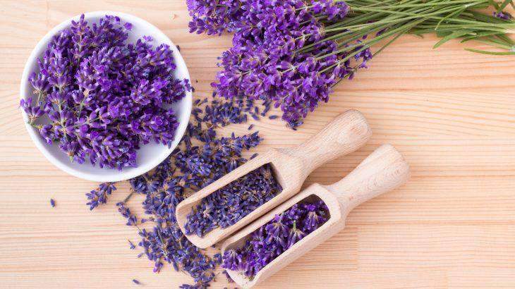 Lavender Eau de Parfum