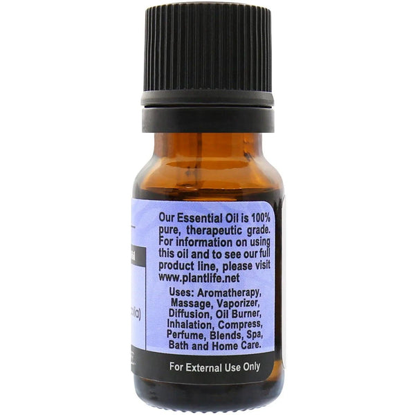 Lavender Bulgarian Essential Oil - Gifts for You 'n Me