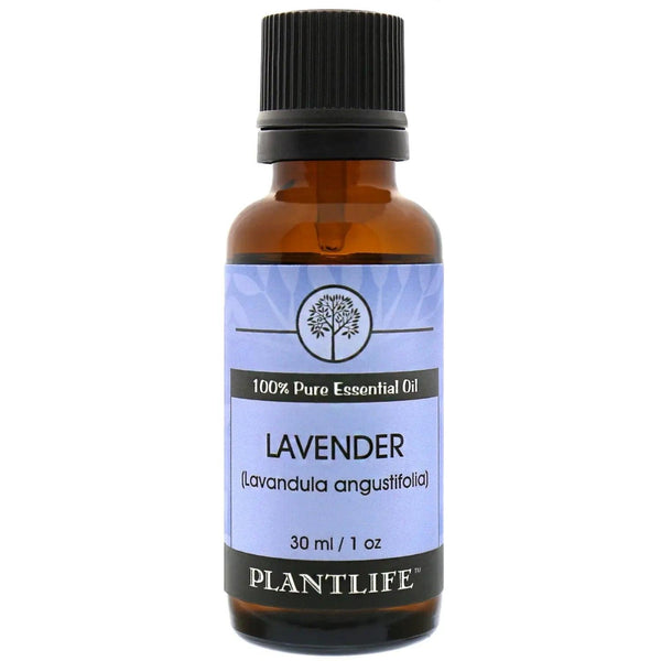 Lavender Bulgarian Essential Oil - Gifts for You 'n Me