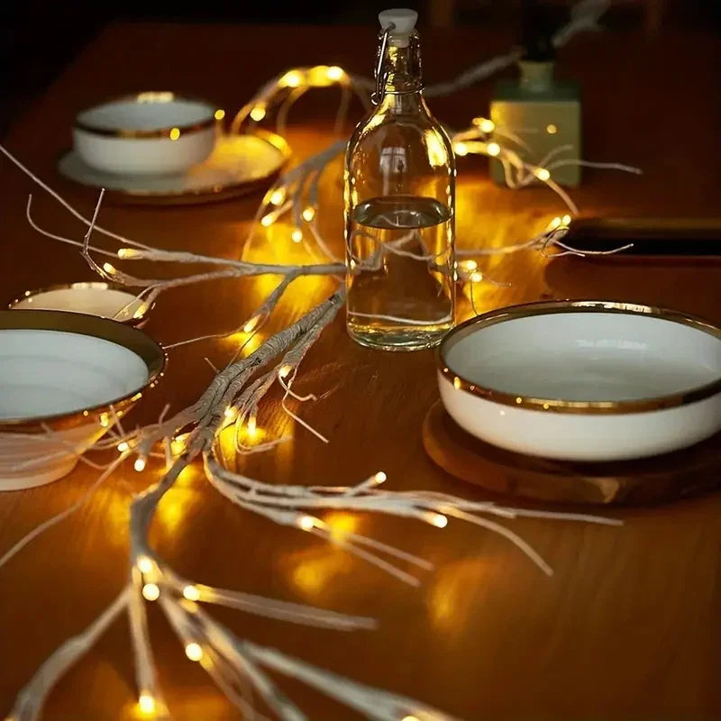 LED Christmas Lights Warm White Battery Operated Indoor Outdoor Decoration
