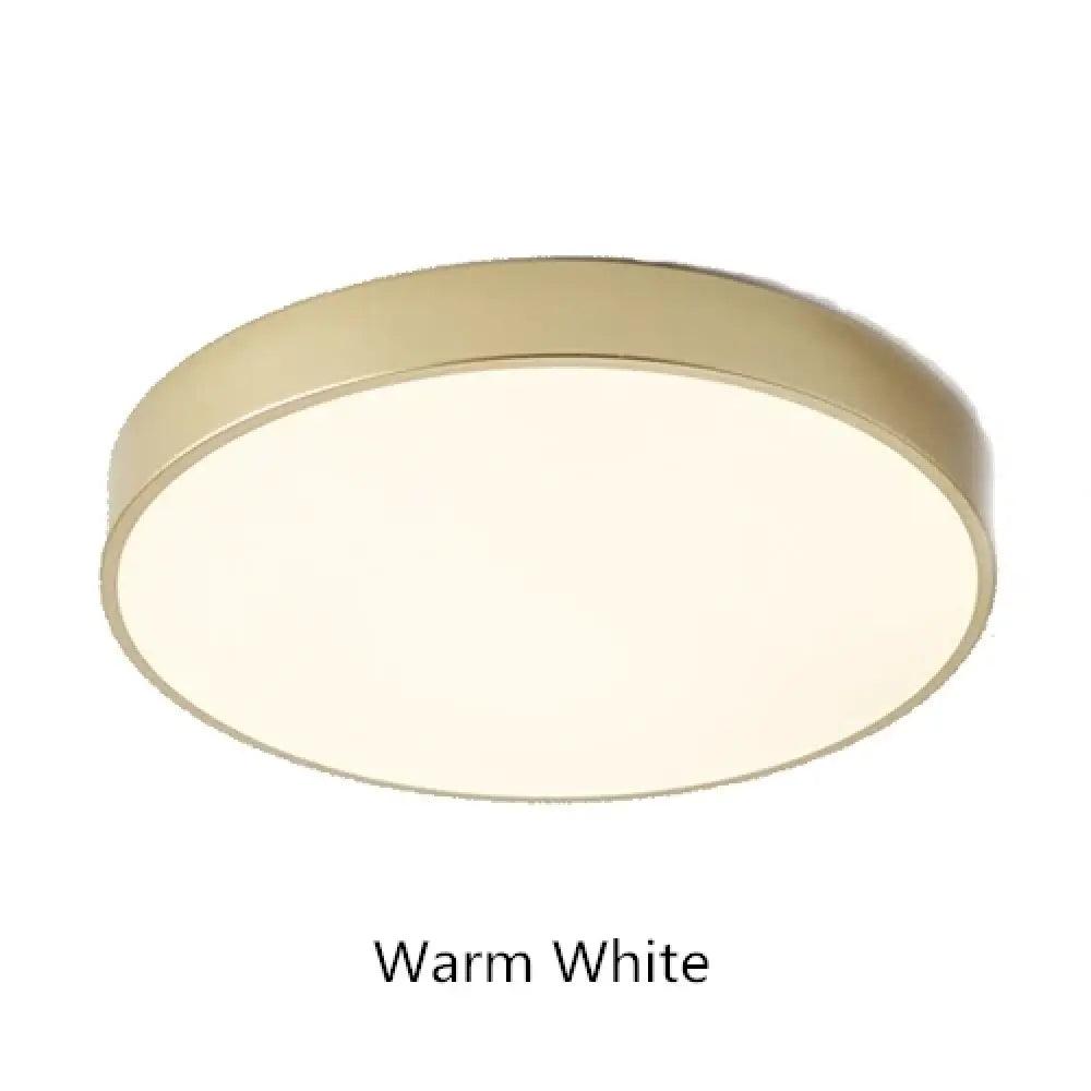 LED Round Ceiling Light | Modern Interior Home Lighting