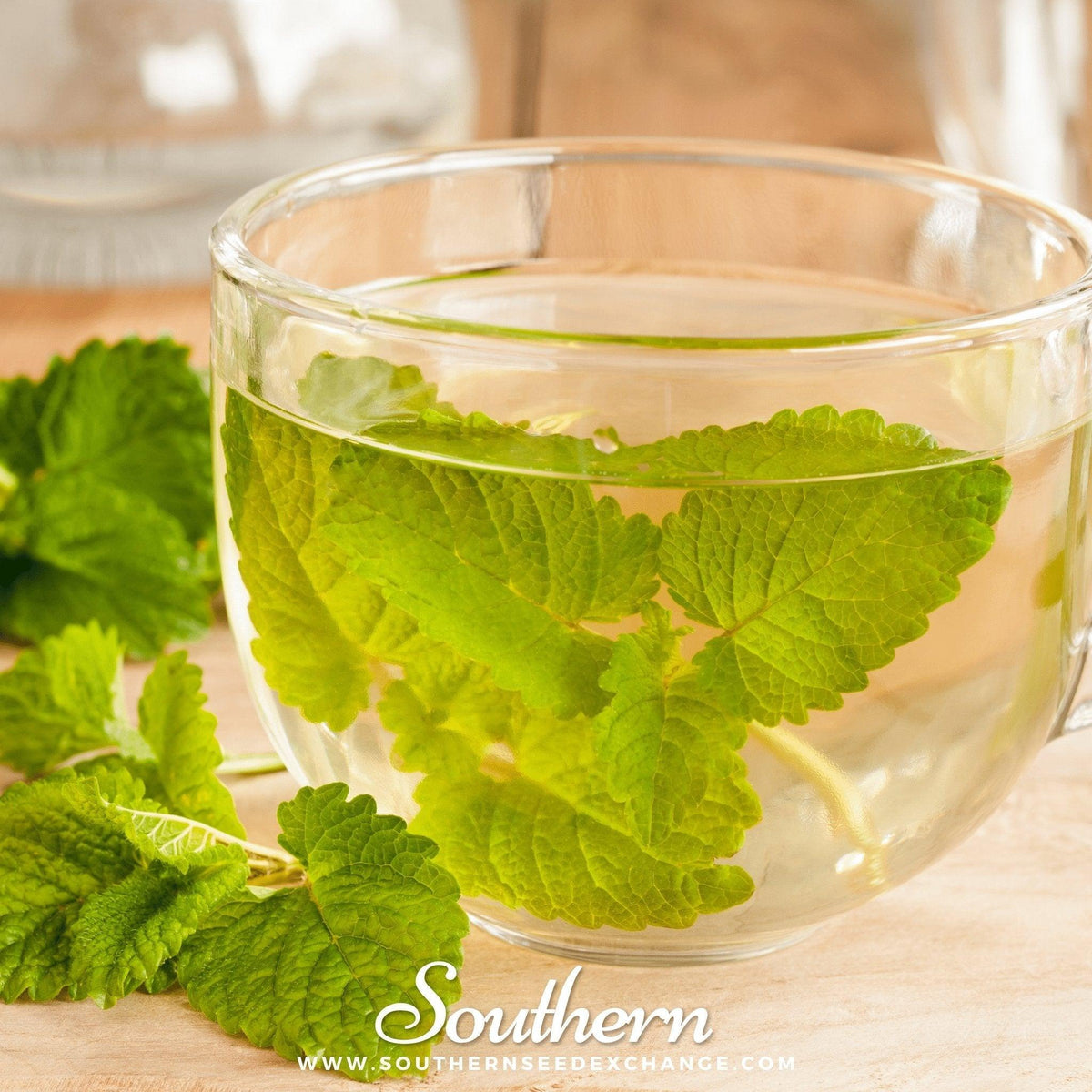 Lemon Balm – 100 Seeds