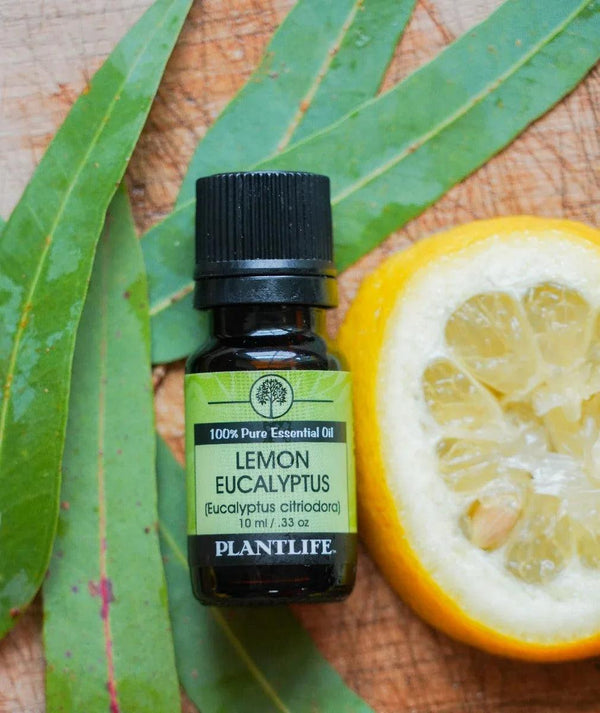 Lemon Eucalyptus Essential Oil - Gifts for You 'n Me