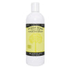 Lemongrass Foam Soap Refill