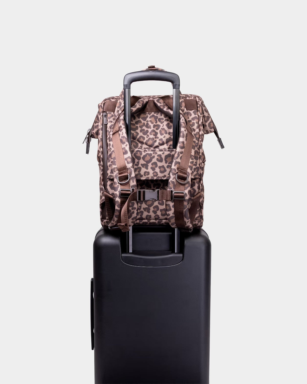 Cascade Backpack - Standard