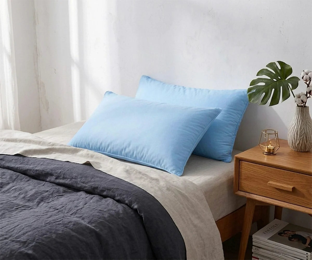 Cotton Linen Pillowcase Set of 2
