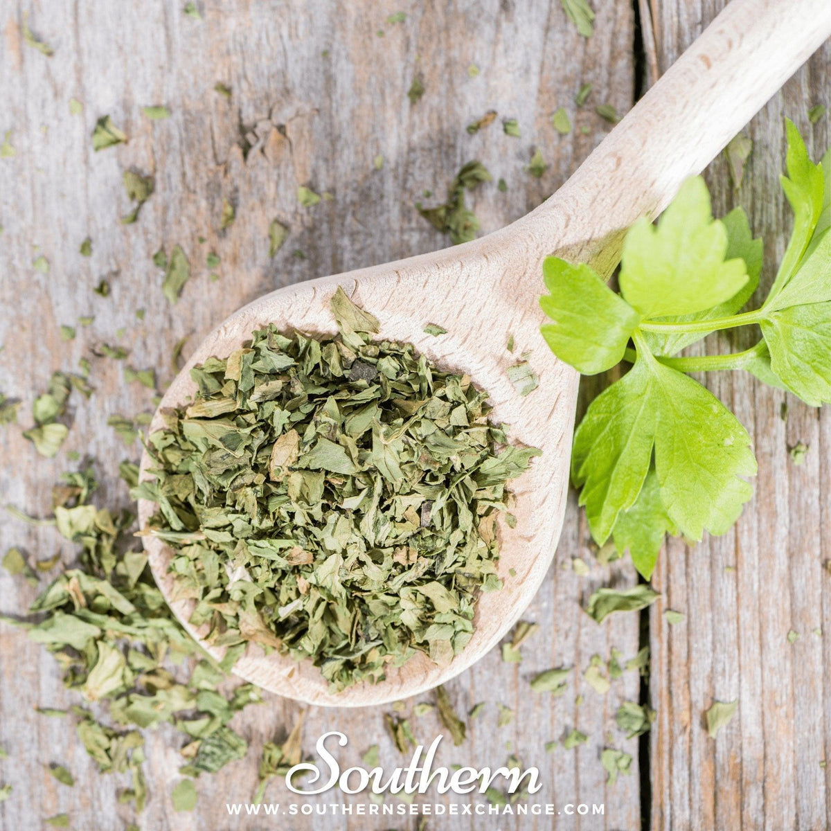 Lovage – 50 Seeds