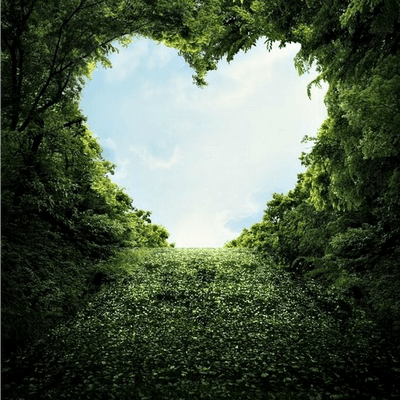 Cupid's Arrow